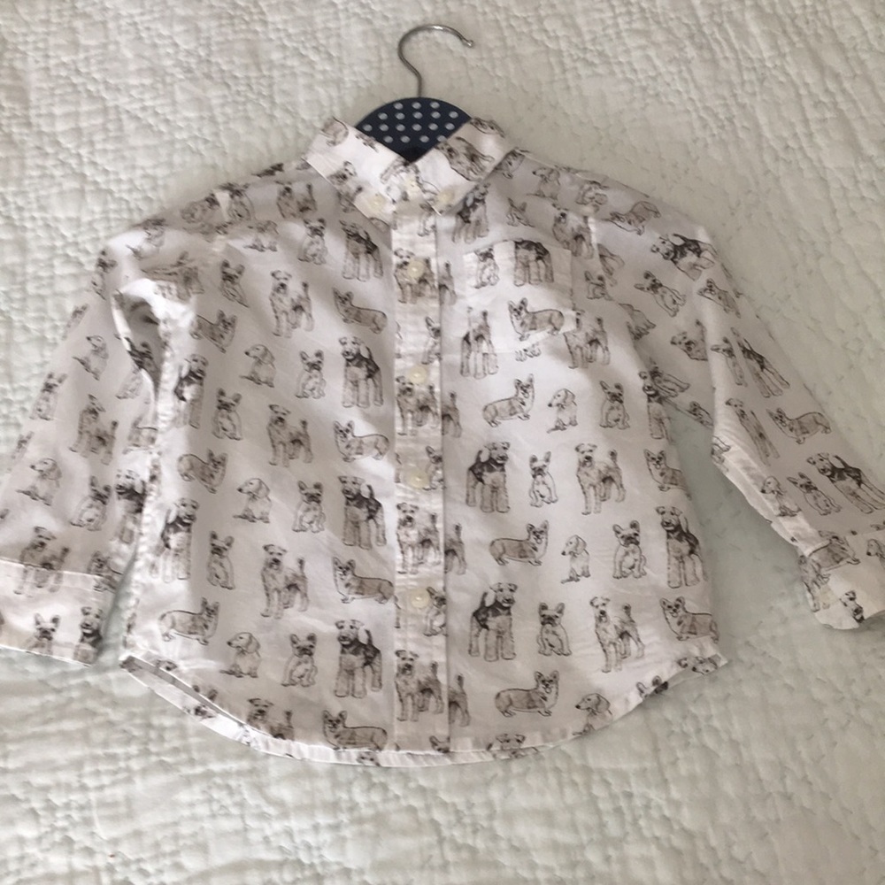 Dog top 🐶 - terriers included! - toddler button down shirt